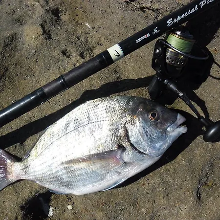 Casa Mestre Casa de hóspedes 3*